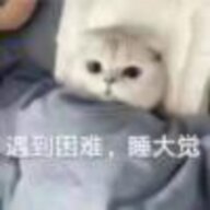 关你西红柿