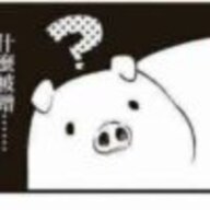 雒耀世
