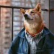 陌生人啊