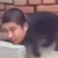 时雨master