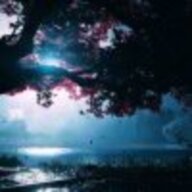 夏雨星繁