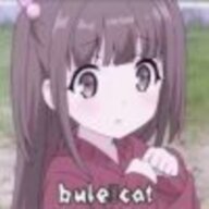 Blue_cat