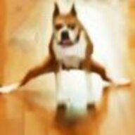 大土豆