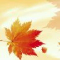 dustmaple