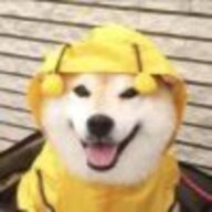 青岚起