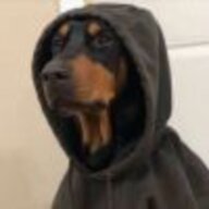 Sweet_Dog