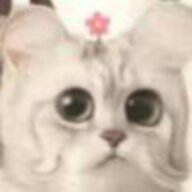 甫一了