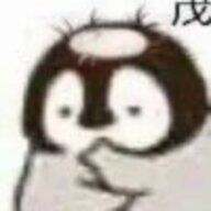 一个流星雨