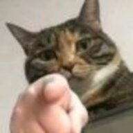 厚利蟹