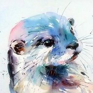 籍籍无名