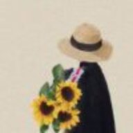 wsit