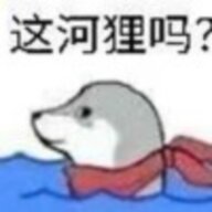 九夜鹅