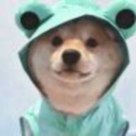 九命仙猫