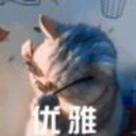 说书的猫