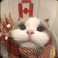 蓝莓酱