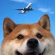 老强哥