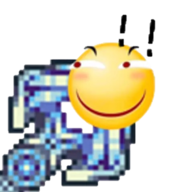某王老极