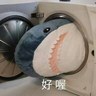雨夜听夜雨