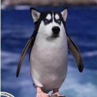 白镖客