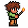 Terraria