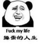 呀哈哈