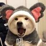 林青山