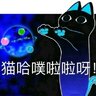 瓶盖头