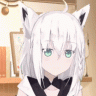 阿臻qwq