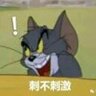 xsgy