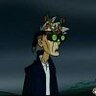西奇杨洋