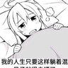 龙猫ovo