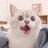 yzhcat