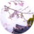 yan