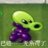幻梦Visele