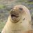 Toney_Z