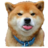 asukaa